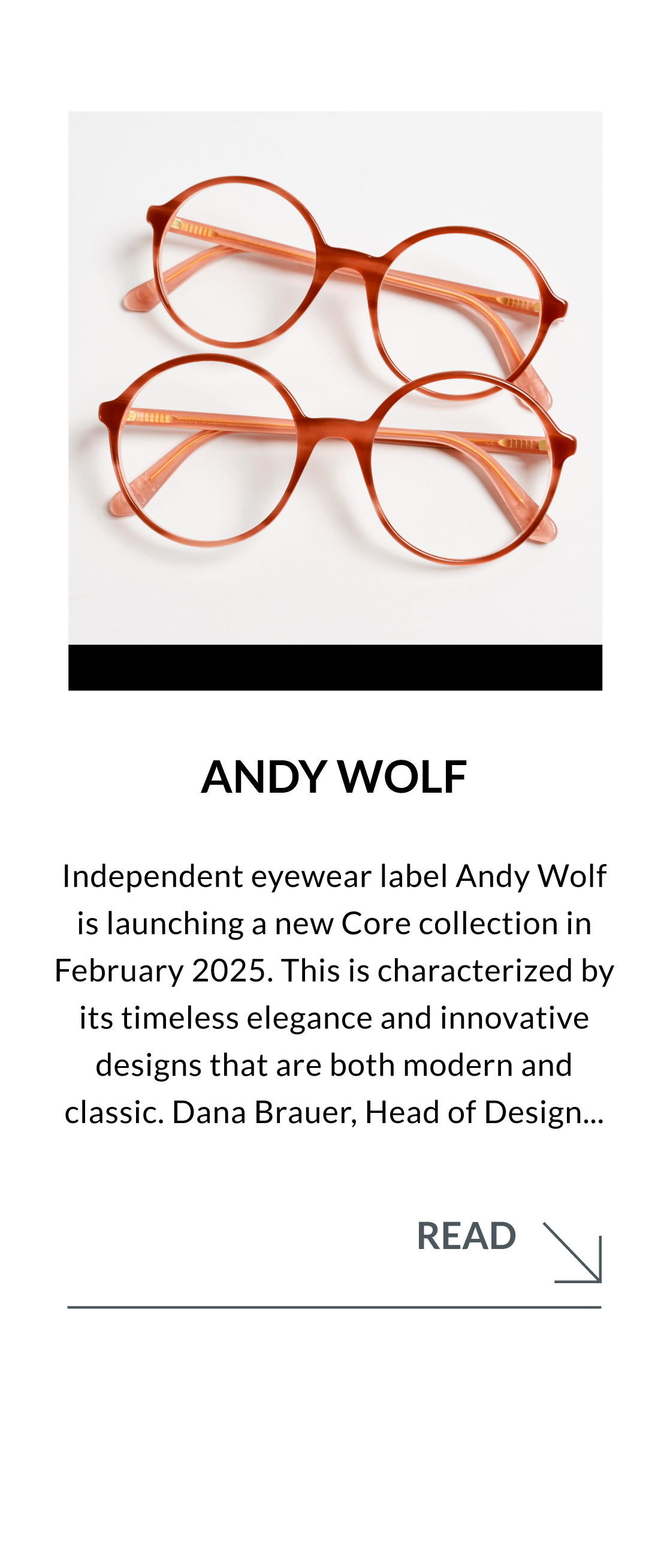 ANDY WOLF