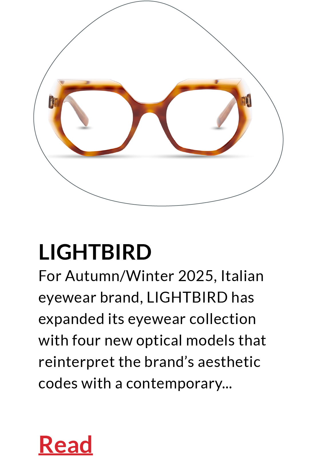 MIDO NEWS 2025 | LIGHTBIRD